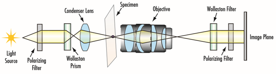 Typischer Aufbau eines DIK-Mikroskops