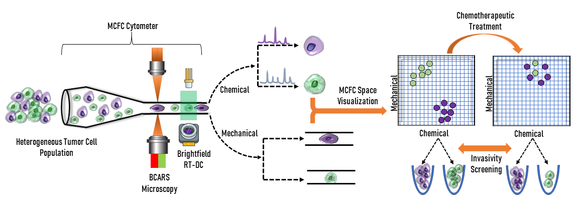 Abbildung 1: Das oben abgebildete mechanisch-chemische Durchflusszytometer (MCFC) kombiniert bildgebende Technologien, um heterogene Krebszellen in ihrer Reaktion auf eine chemotherapeutische Behandlung zu unterscheiden.