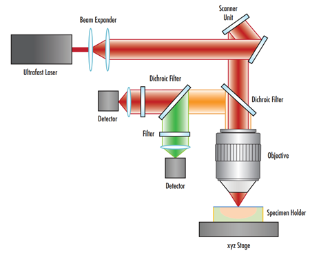 Line art depiction of figure 5