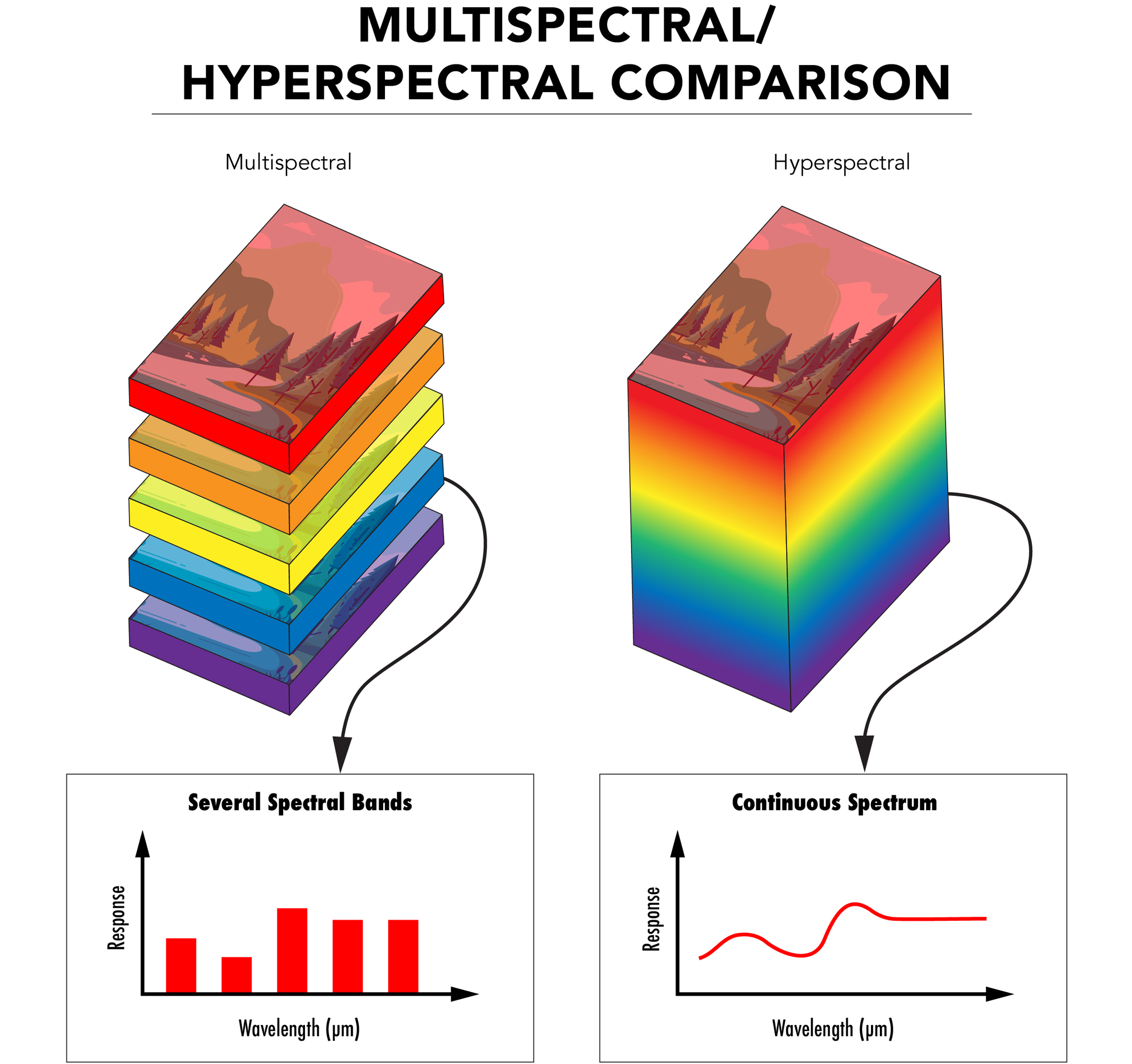 Der Unterschied zwischen MS- und HS-Bildgebung ist eine diskrete bzw. kontinuierliche Darstellung der Wellenlängeninformationen.